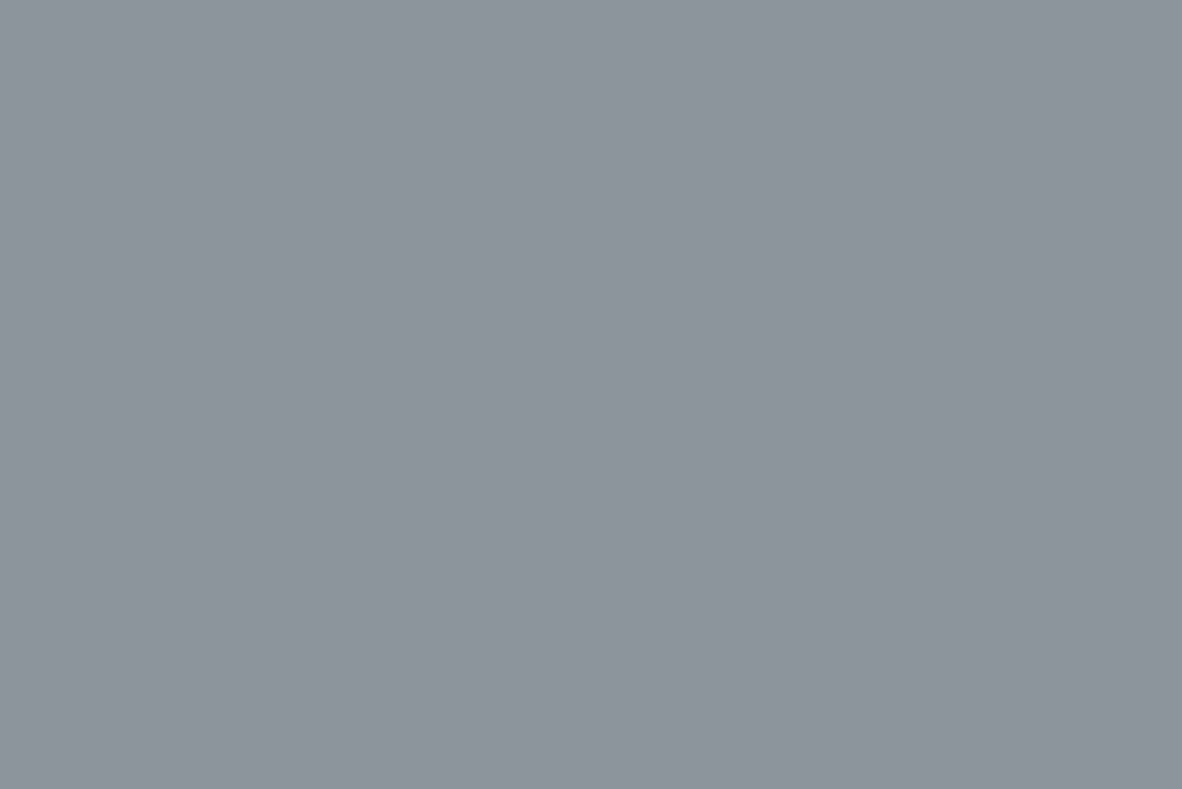 Bleu^Flamant Baleine