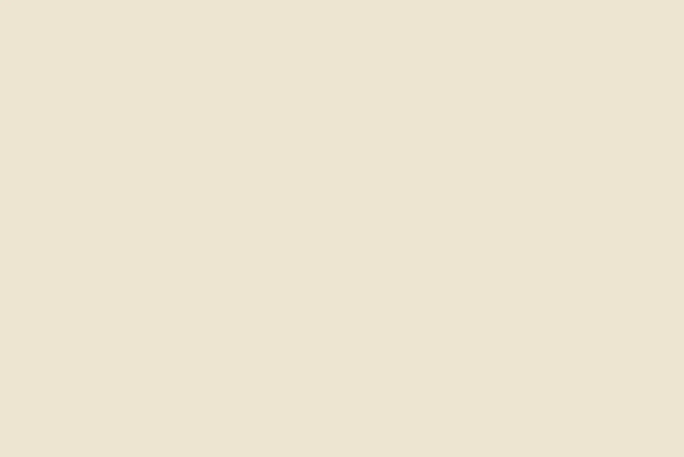 Jaune Orange^Flamant Coquille