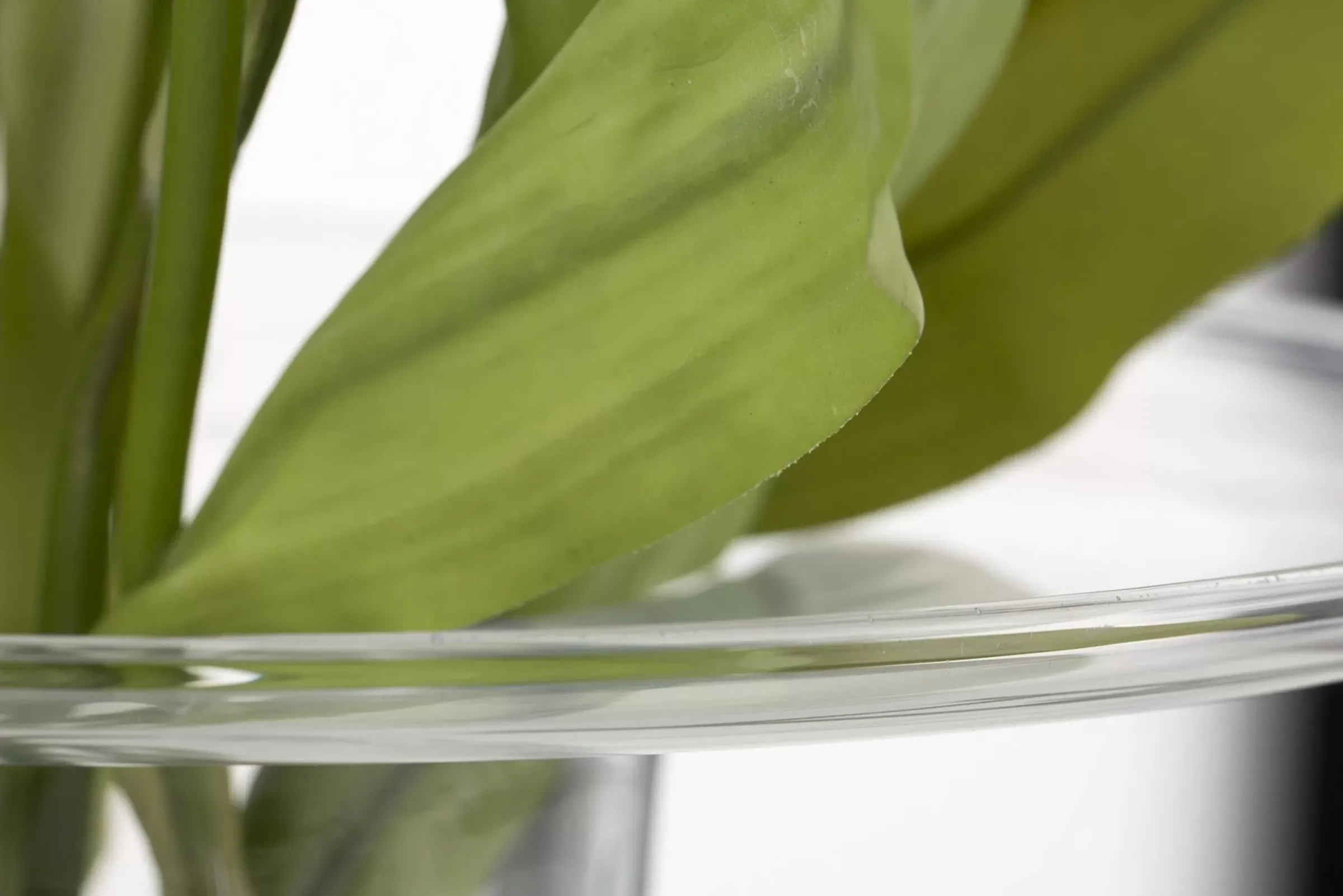 Décoration^Flamant Cratere, Vase, Verre