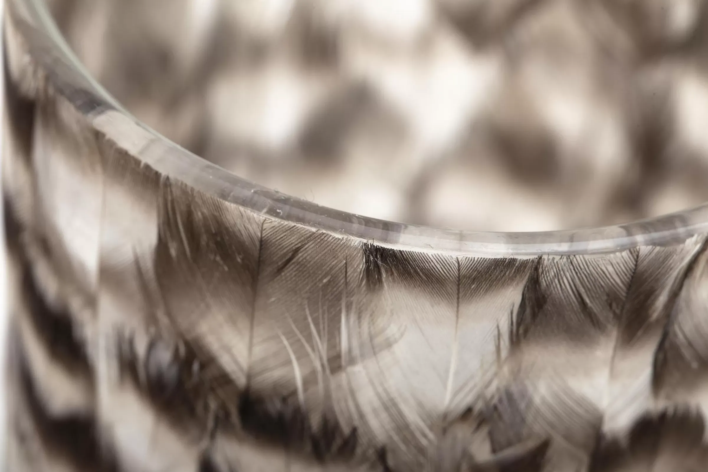 Décoration^Flamant Hannigan, Photophore, Plumes, L