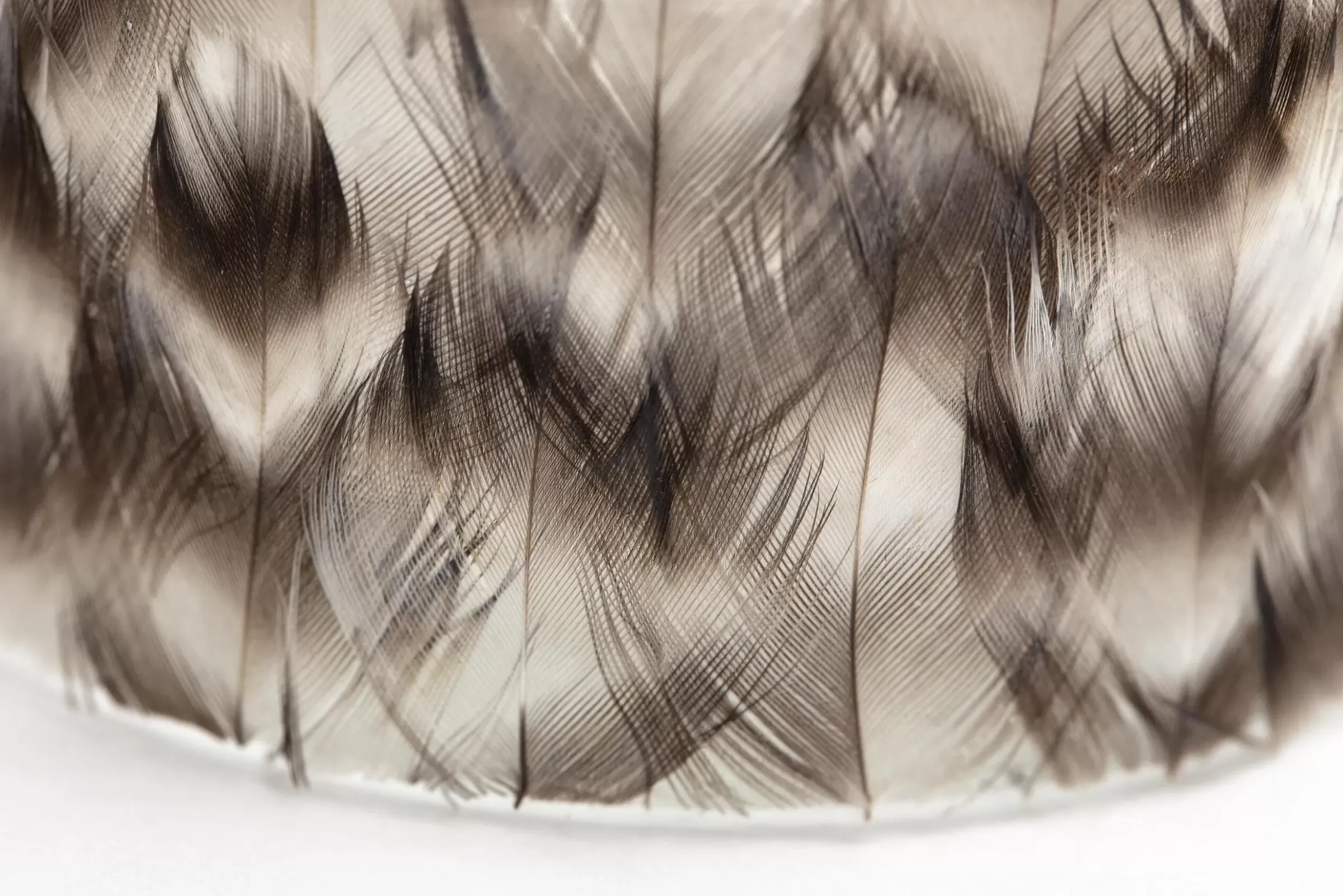 Décoration^Flamant Hannigan, Photophore, Plumes, L