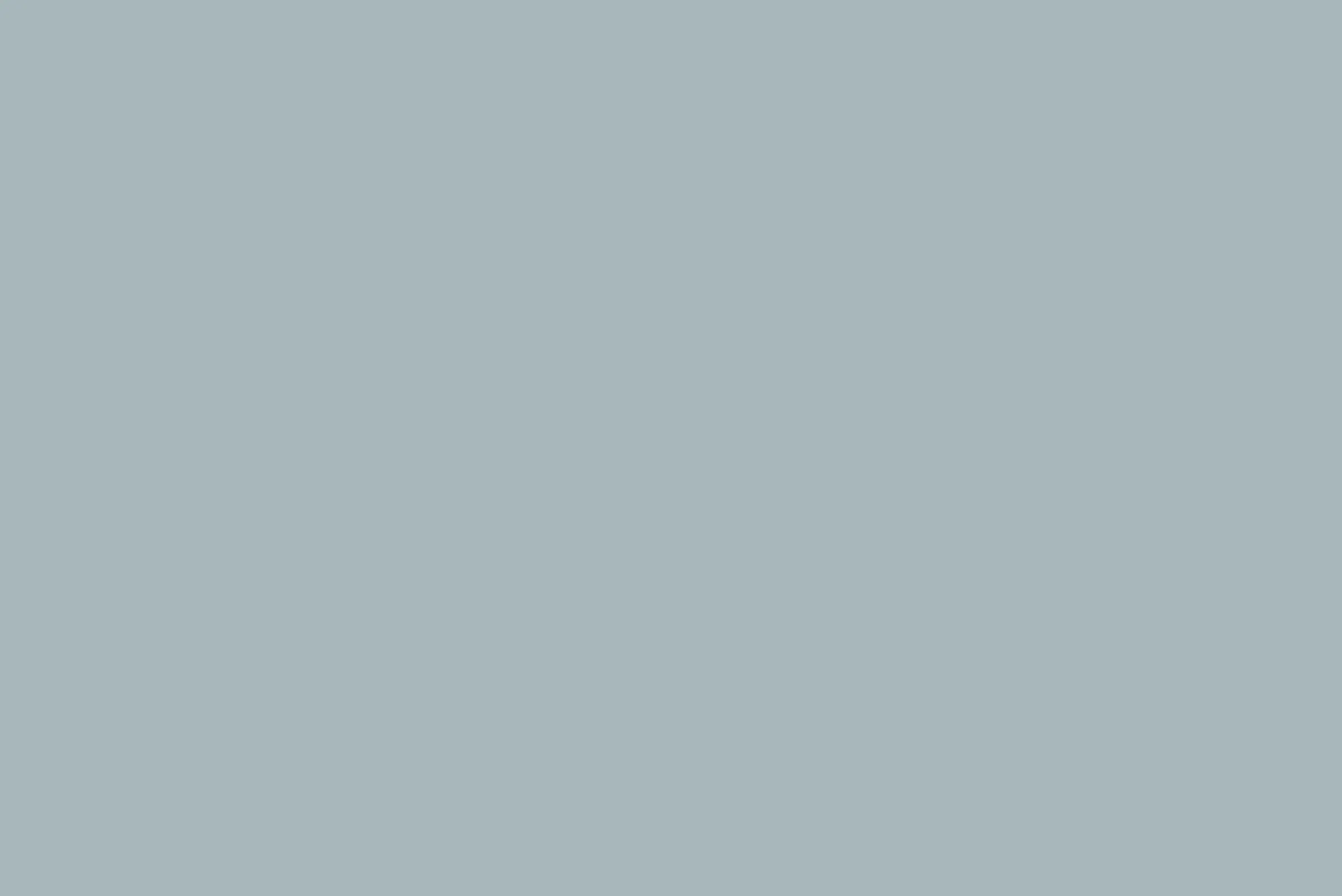 Bleu^Flamant Oceane