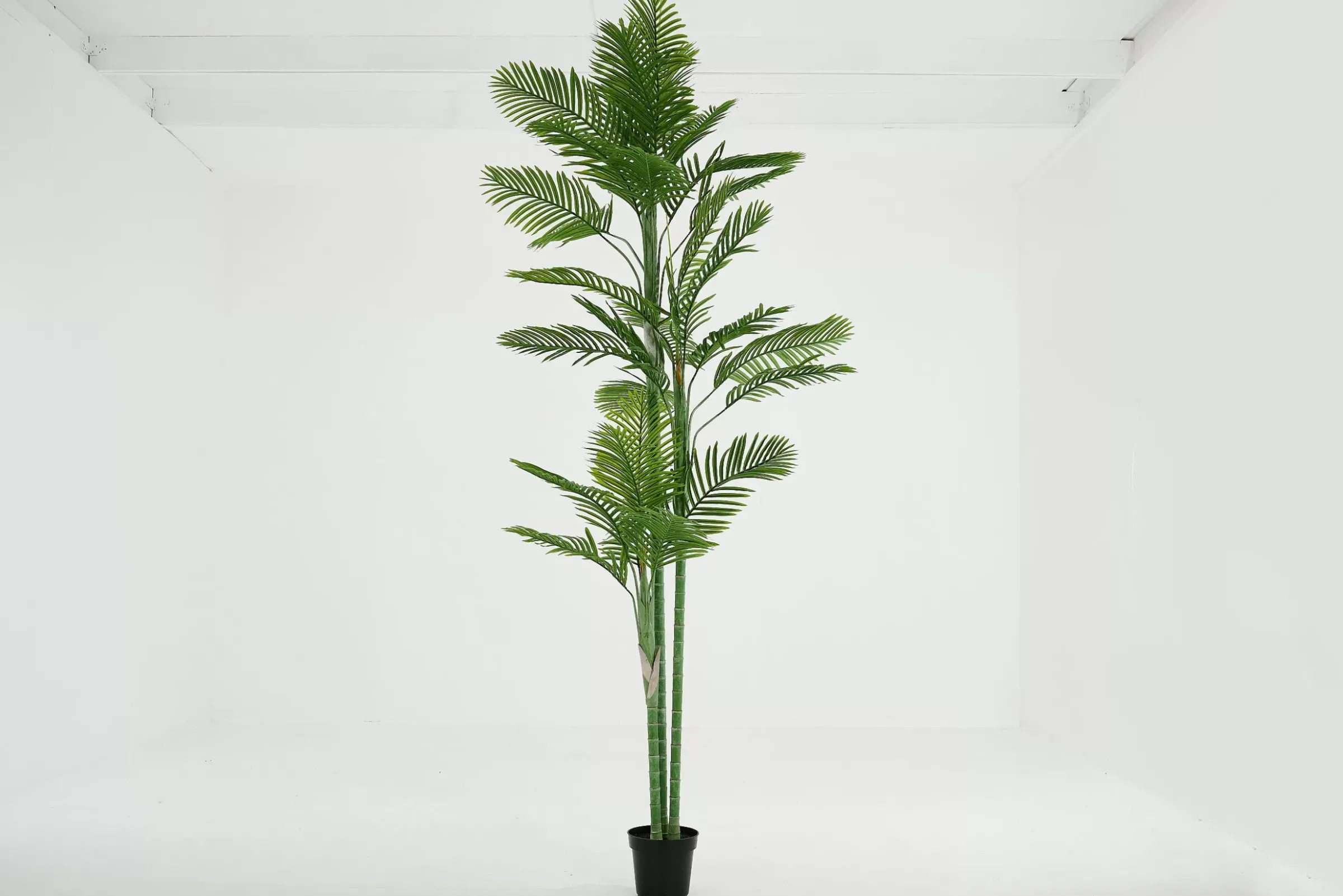 Décoration^Flamant Palmier Areca, Plante