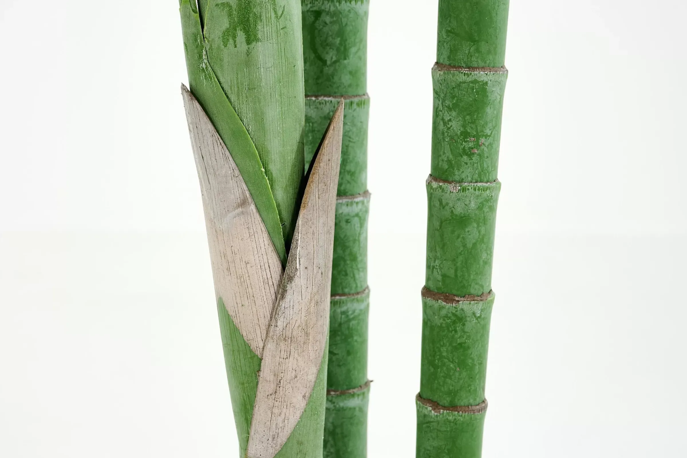 Décoration^Flamant Palmier Areca, Plante