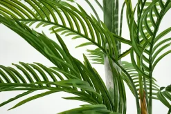Décoration^Flamant Palmier Areca, Plante