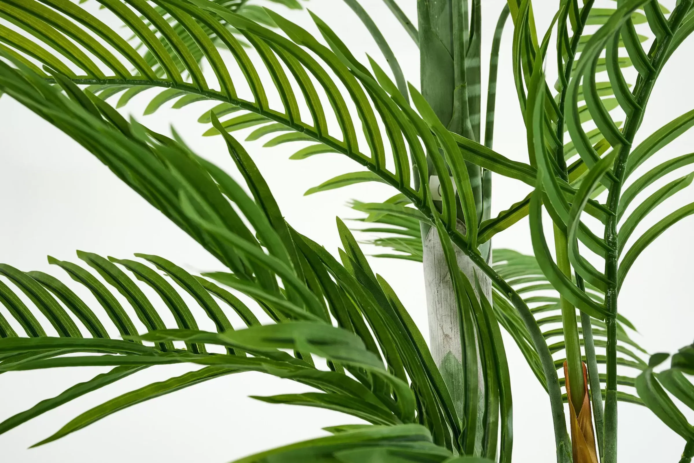 Décoration^Flamant Palmier Areca, Plante