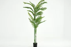 Décoration^Flamant Palmier De Betel, Plante