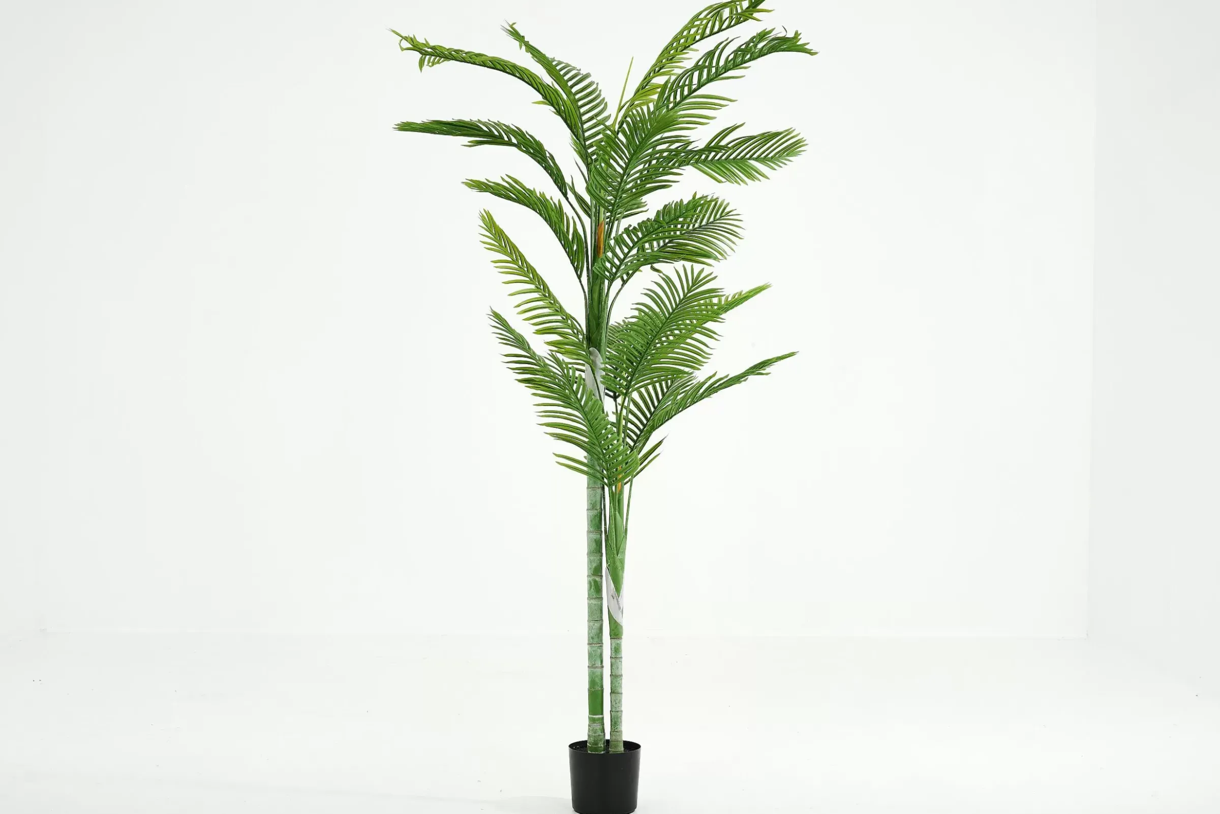 Décoration^Flamant Palmier De Betel, Plante