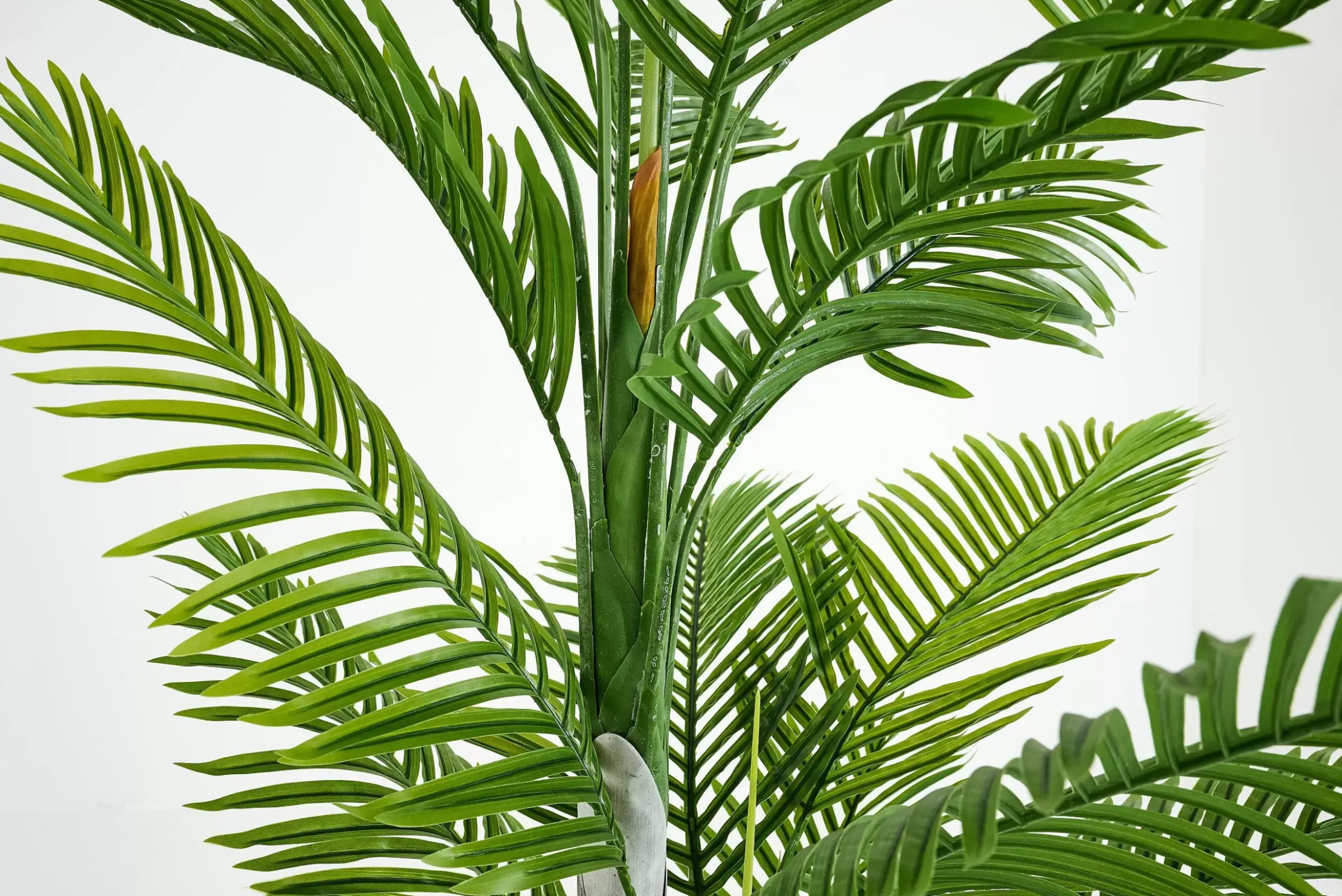 Décoration^Flamant Palmier De Betel, Plante