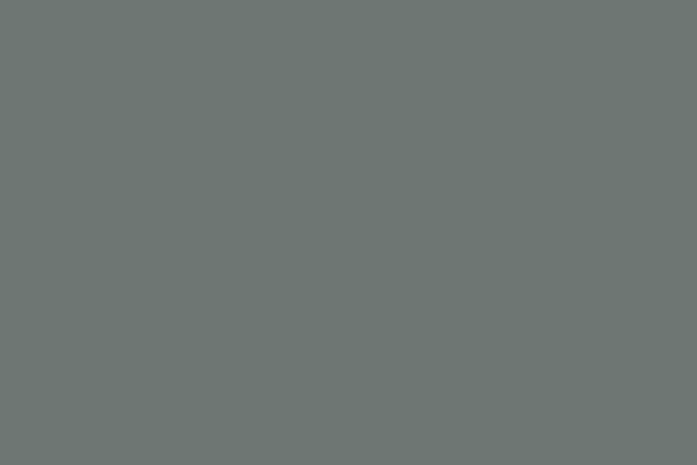 Beige / Gris^Flamant Paves Du Nord