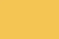 Jaune Orange^Flamant Populaire