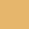 Jaune Orange^Flamant Soleil